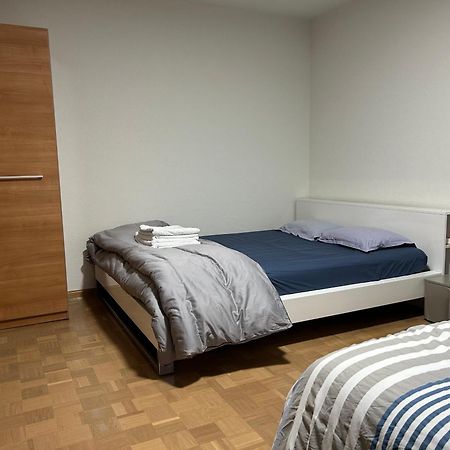 Apartement Saint Louis Train Station- Euroairport- Basel Dış mekan fotoğraf