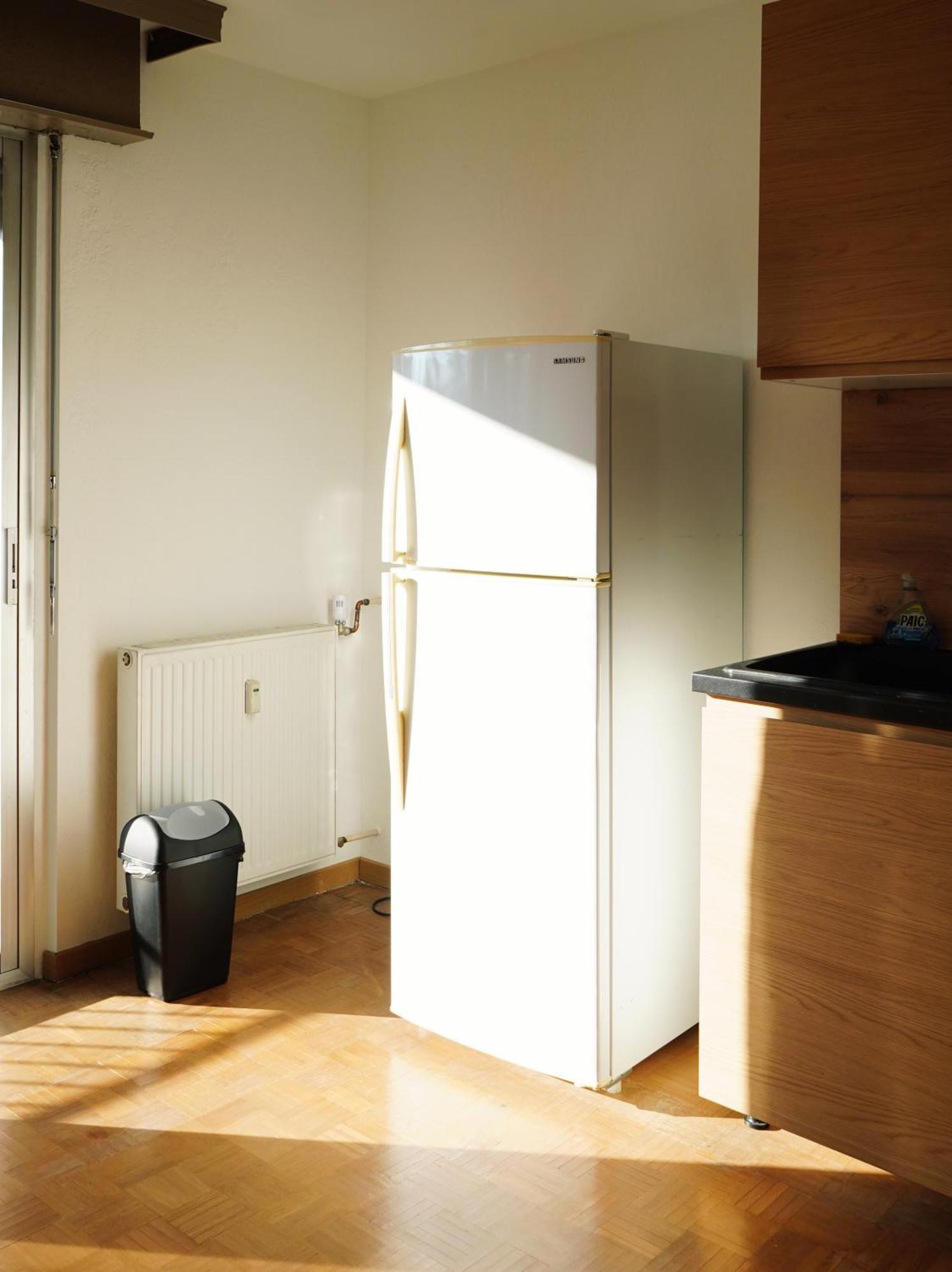 Apartement Saint Louis Train Station- Euroairport- Basel Dış mekan fotoğraf